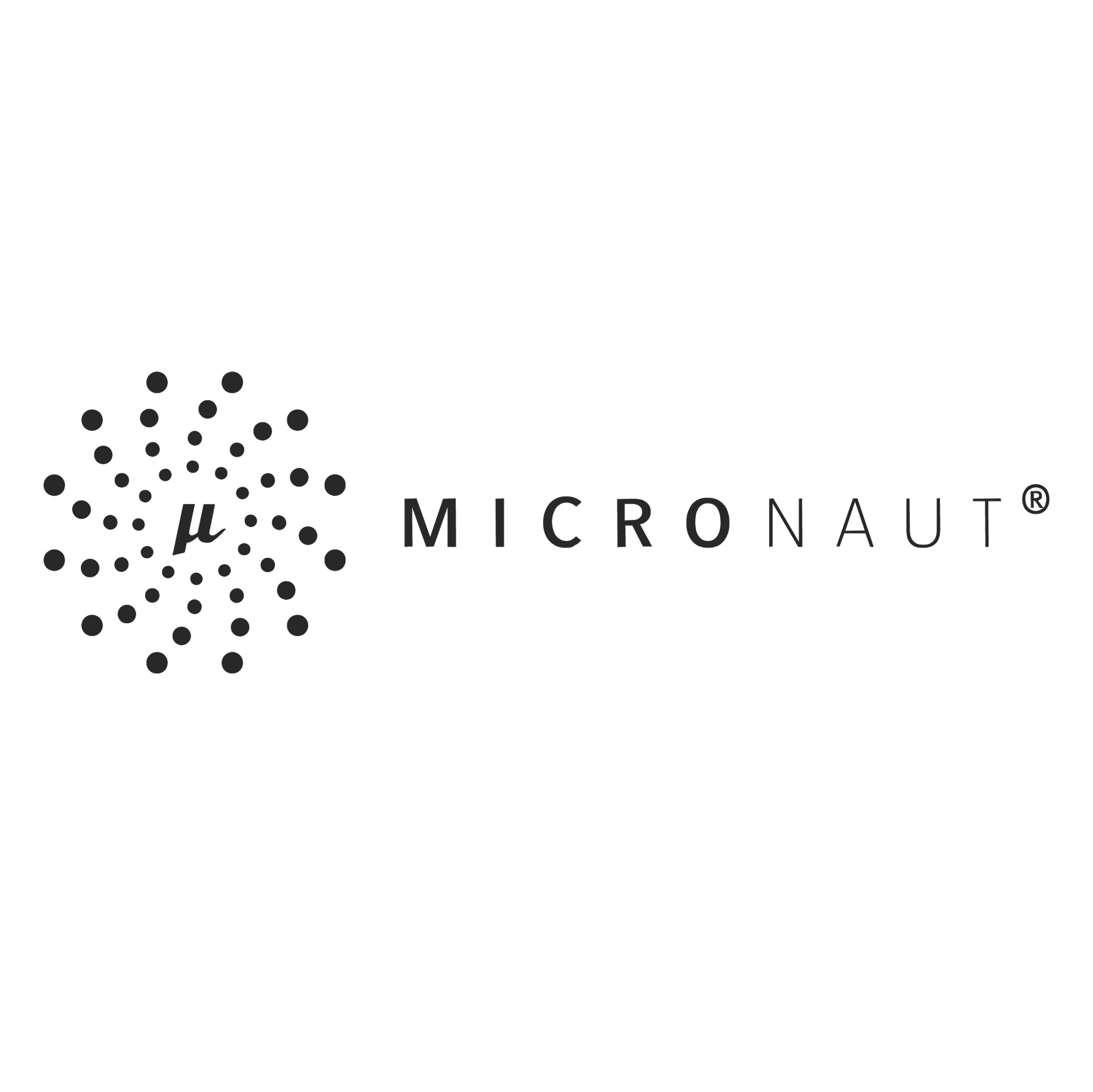 icons_micronaut